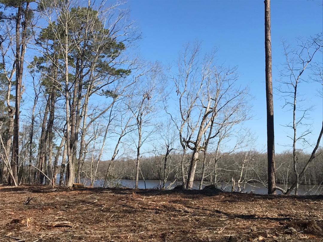 Winton, NC 0.7 acres Land and Farms Realty